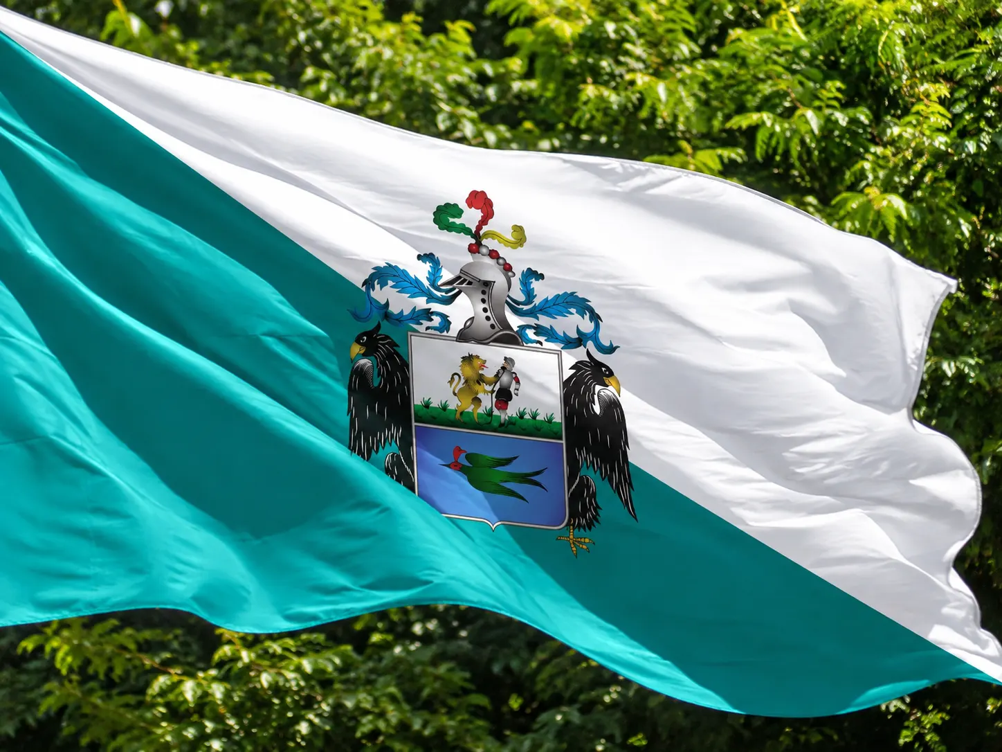 Bandera actual